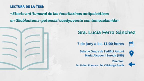 Tesis Lucía Ferro